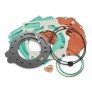 GASKET SET CYL. 250 FREERIDE