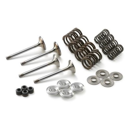 VALVE KIT 250 EXC-F,XCF-W  14