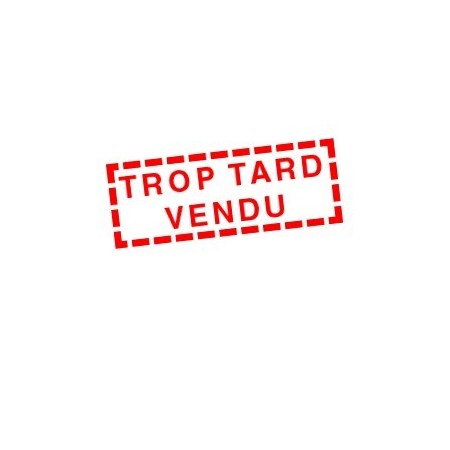 SHERCO 300 SEF FACTORY  2022