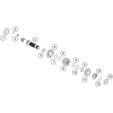 VUE ECLATEE ARBRE PRIMAIRE...