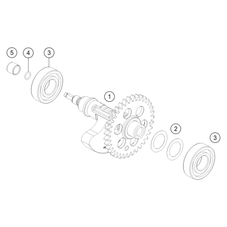 VUE ECLATEE ARBRE...